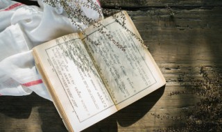 表达养育之恩的诗句 表达养育之恩的诗句古诗