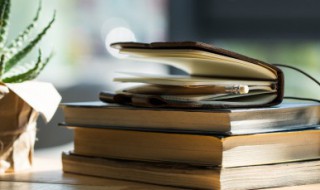 卜算子黄州定慧院寓居作的作者是谁（卜算子黄州定慧院寓居作是一首什么题材的诗作）