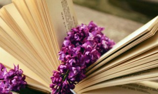 孙子兵法作者是谁 孙子兵法作者是谁孙武