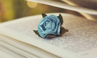 宿新市徐公店的作者是谁（宿新市徐公店的作者是谁?）