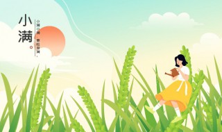 小学一年级小满主题活动(小学一年级小满主题活动方案)