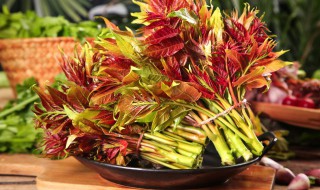 孕妇可以吃香椿芽吗（孕妇可以吃香椿芽吗晚期）