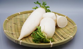 白萝卜汤的做法大全家常 白萝卜汤的做法大全家常菜窍门