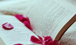 高凤笃学的文言文翻译 高凤笃学的文言文翻译少为书生