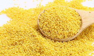 小米搭配禁忌有哪些 小米可以和那些搭配