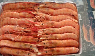 阿根廷红虾大的好还是小的好（阿根廷红虾规格l1大还是l2大）