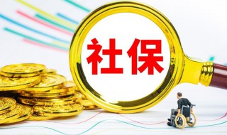 社保个人账户怎么查询（社保个人账户怎么查询余额 支付宝）