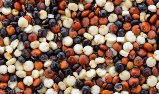 藜麦怎么吃多少钱一斤（藜麦一般怎么吃）