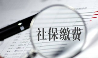 辞职后自己怎么交社保（公司辞职后自己怎么交社保）