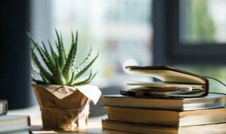 曾子杀猪的故事告诉我们什么道理（曾子杀猪的故事给了我们什么启示）