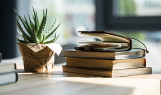 与历史故事有关的成语 与历史故事有关的成语有哪些