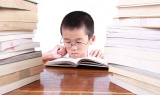 陆贾怎么读 陆贾怎么读gu