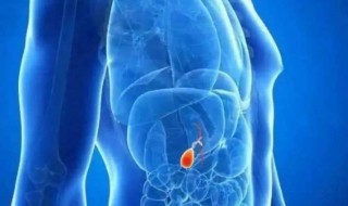 月加泉怎么读 月加泉怎么念