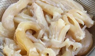 牛筋怎么吃（煮好的牛肚喝牛筋怎么吃）