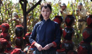 红高粱故事梗概（红高粱故事梗概100字）