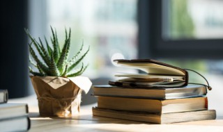 历史上第一个太后是谁 历史第一个皇太后