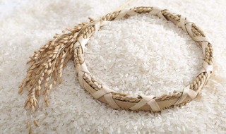 米可以生吃吗（鸡头米可以生吃吗）