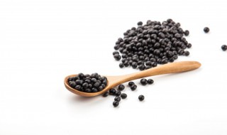 黑豆的功效与作用很大（黑豆的功效中华康网）