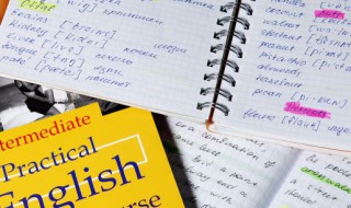 betsy中文是什么意思