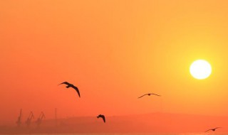 有关太阳的资料(有关太阳的资料100字左右)