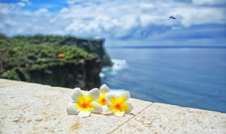 与世无争的意思是什么意思(与世无争下一句是什么)