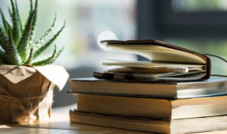 左支右绌什么意思（“左支右绌”）