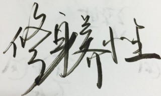 修身养性是什么意思（修身养性是什么意思啊）