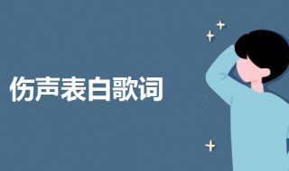 伤声表白歌词（伤声表白歌词完整版）