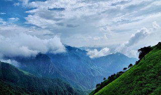 河山大好歌词（河山大好歌词是什么意思）