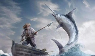 《老人与海》读后感 老人与海读后感500字优秀范文