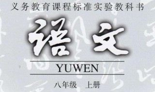 不是而是造句（不是而是造句怎么写）