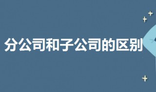 分公司和子公司的区别 总公司和子公司的区别是什么