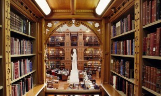 library什么意思(add as library什么意思)