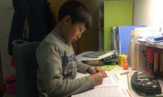 several什么意思 several什么意思英语翻译