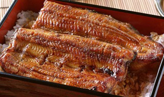 鳗鱼饭 鳗鱼饭图片