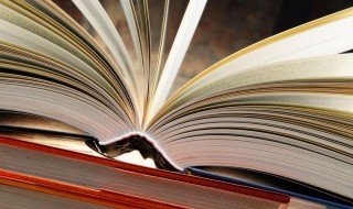 曾因酒醉鞭名马原文(曾因酒醉鞭名马,悲歌痛哭终何补)