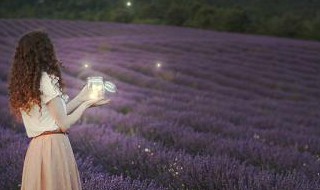 好听的句子唯美长句子 好听的句子唯美长句子英文