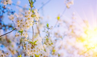 奋斗正能量励志句子