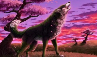 狼原文翻译及注释 狼原文翻译及注释拼音