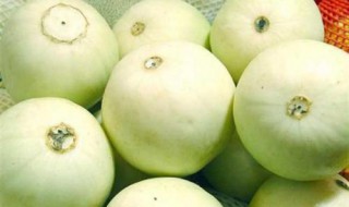 玲珑香瓜怎么吃（玲珑香瓜怎么吃最好）