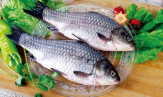 葱花鱼怎么煮（葱花鱼怎么煮才好吃）