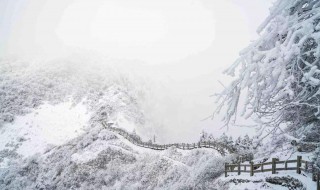 窗含西岭千秋雪的下一句（窗含西岭千秋雪是谁的诗句）