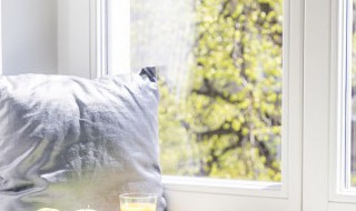 窗口的新含义 窗口的新含义四年级下