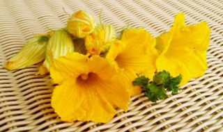 南瓜花的做法 南瓜花的做法大全视频