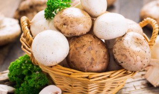 蘑菇怎么烧 蘑菇怎么烧不发黑