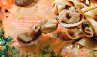 鸡肚是什么部位 鸡肚和鸡胗的区别图片