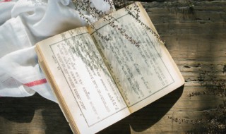 描写竹子的诗 描写竹子的诗句古诗大全