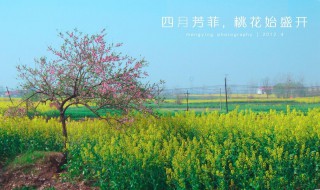 四月唯美古诗词 四月唯美的诗