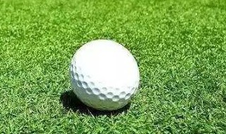 羊上树和花式高尔夫啥意思（什么叫高尔夫和羊上树）