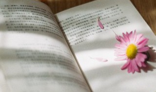 kina是什么意思 sakina是什么意思